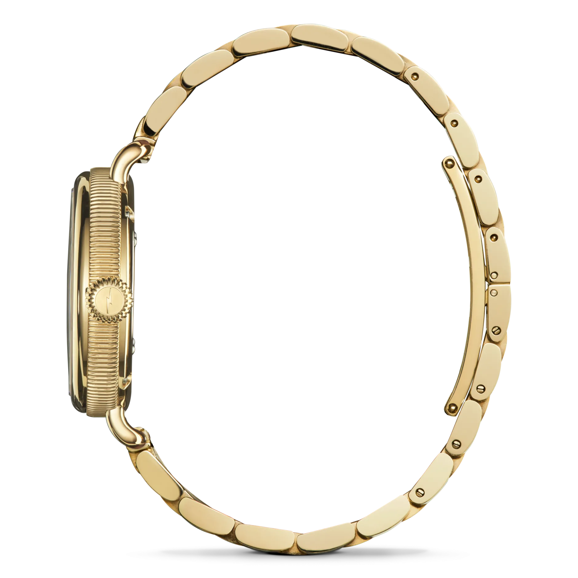 Discount Shinola Birdy Watch Lapis