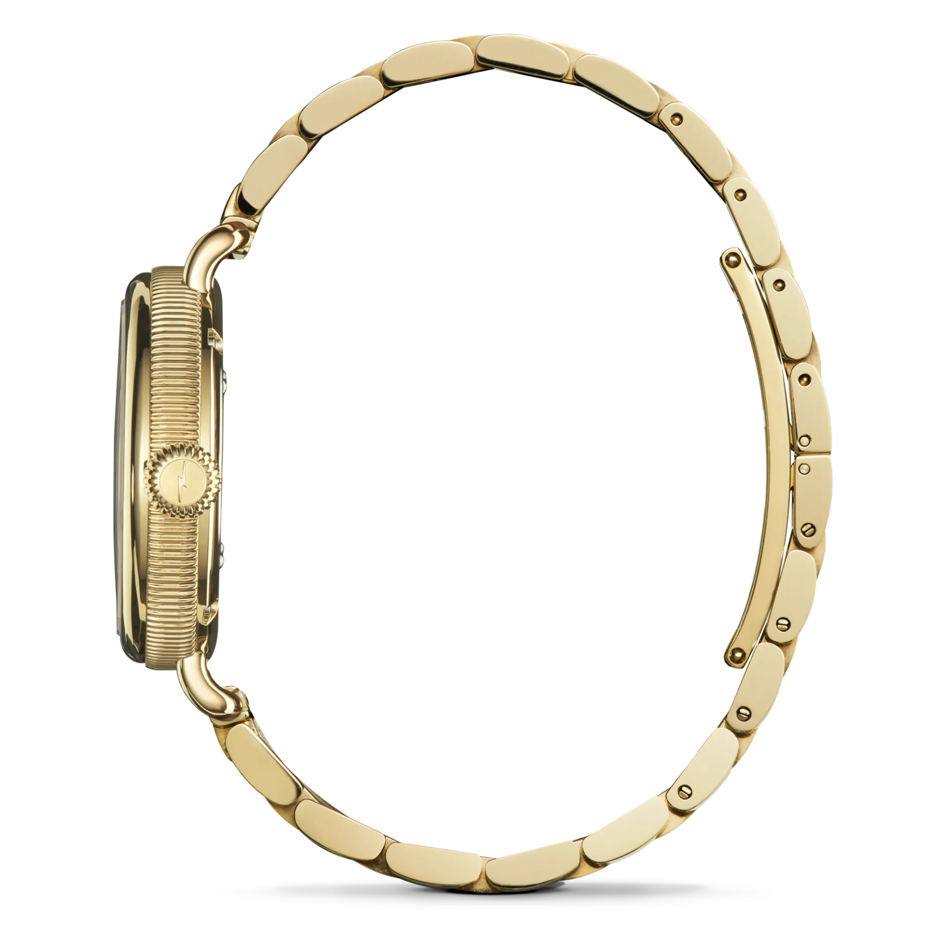 Sale Shinola Birdy Watch Natural Stone