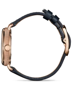 Hot Shinola Birdy Watch