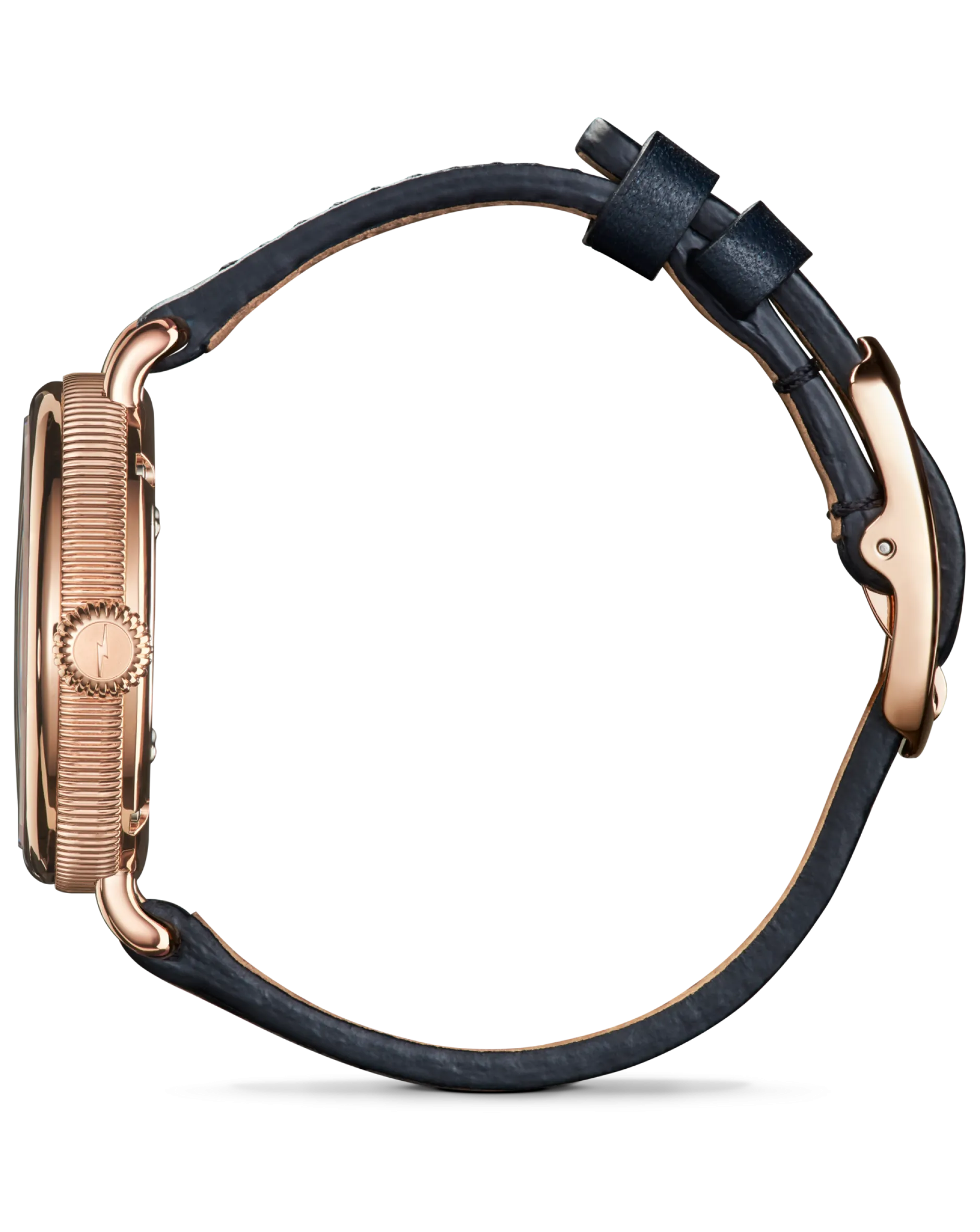 Hot Shinola Birdy Watch