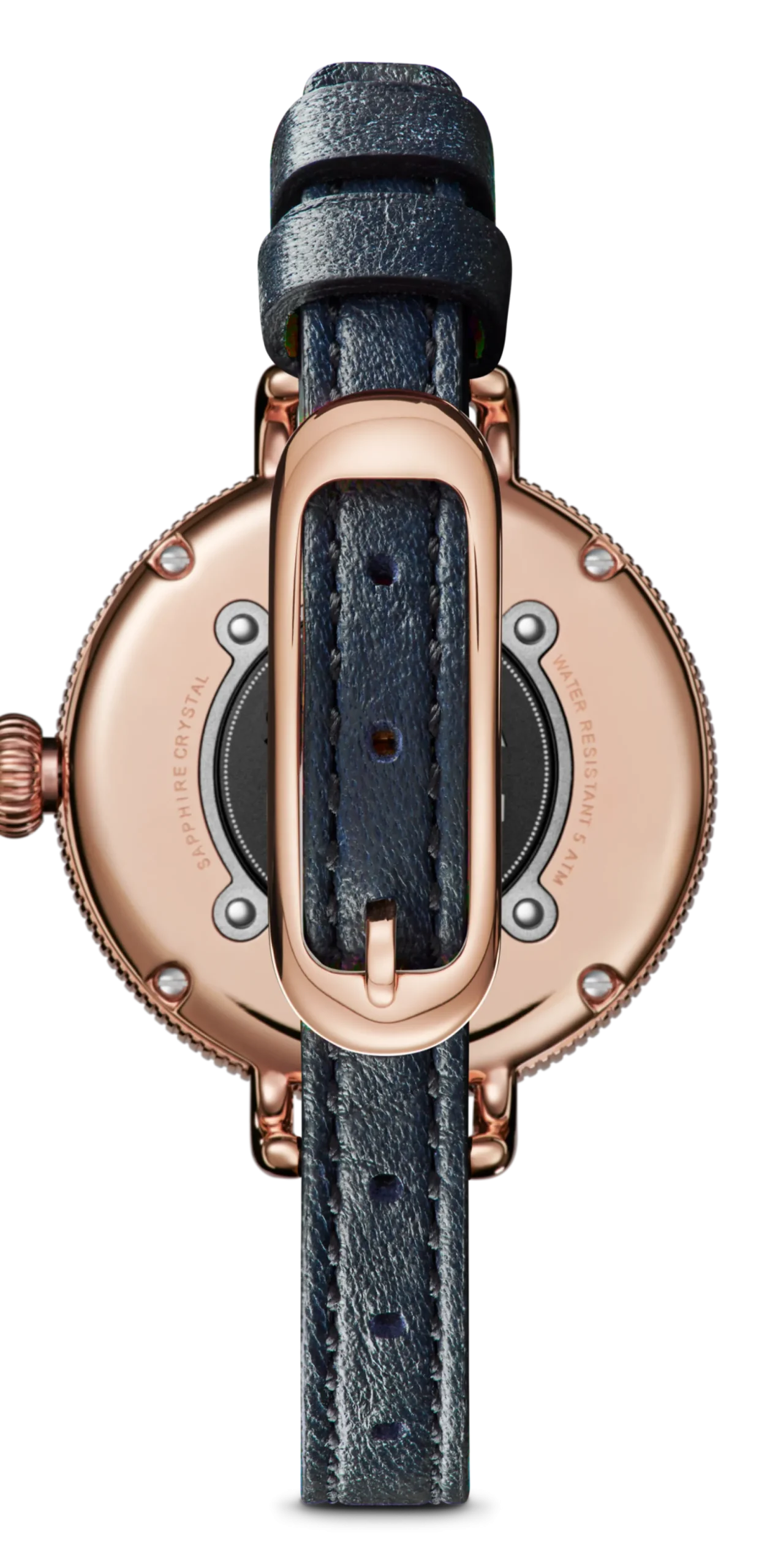 Hot Shinola Birdy Watch