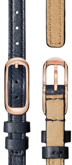Hot Shinola Birdy Watch