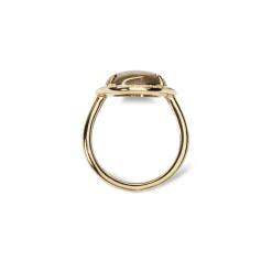 Best Shinola Diamond Pave Oval Petoskey Ring