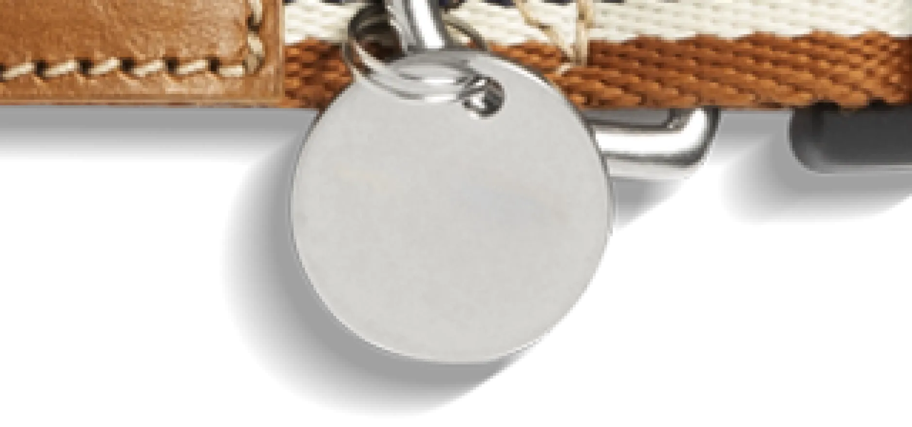 Discount Shinola Nylon Dog Collar
