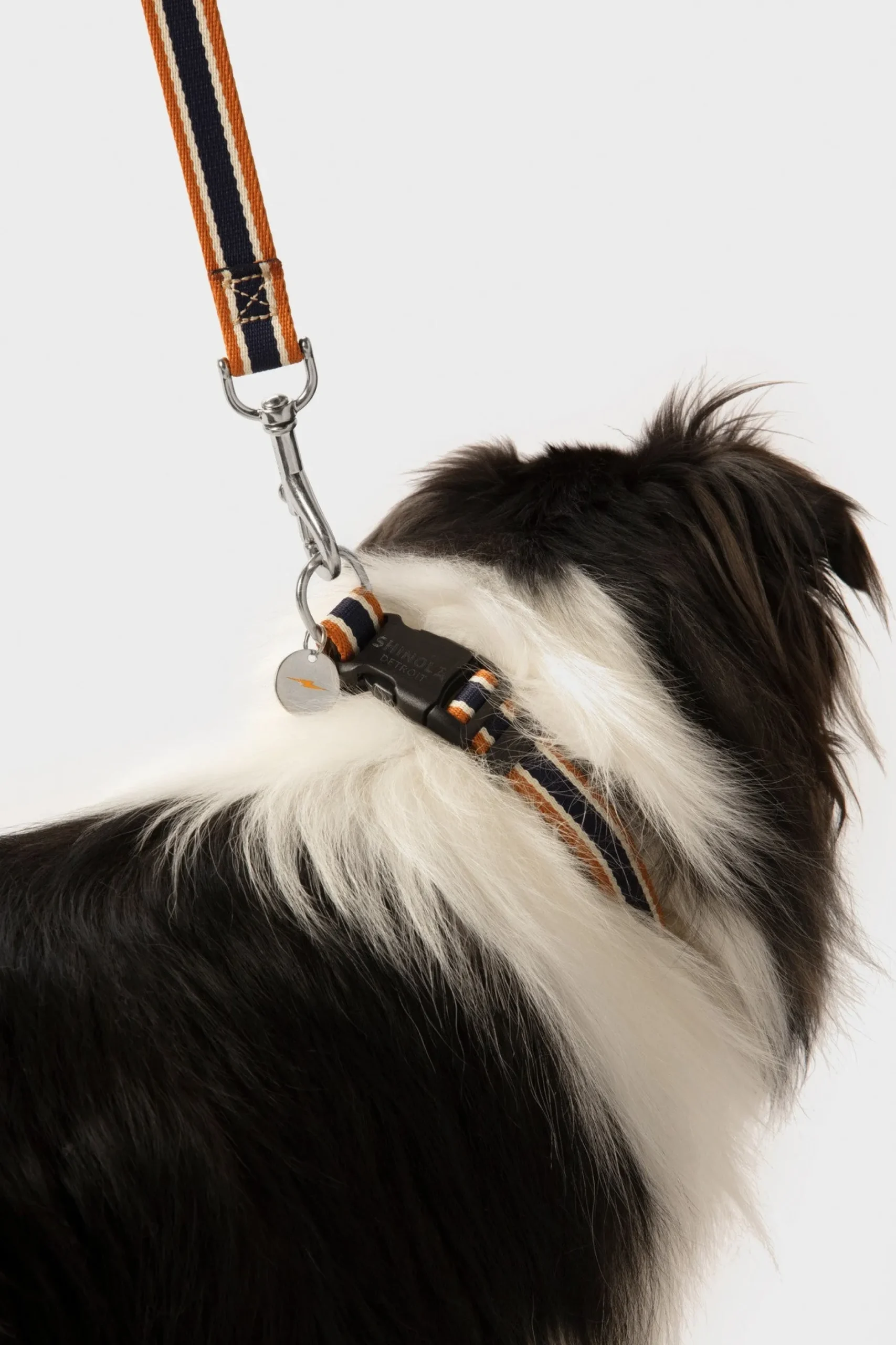 Discount Shinola Nylon Dog Collar